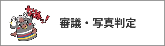 バナーリンク 審議・写真判定